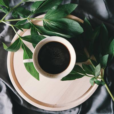 Cup of coffee and it's plant Cup of coffee and it's plant